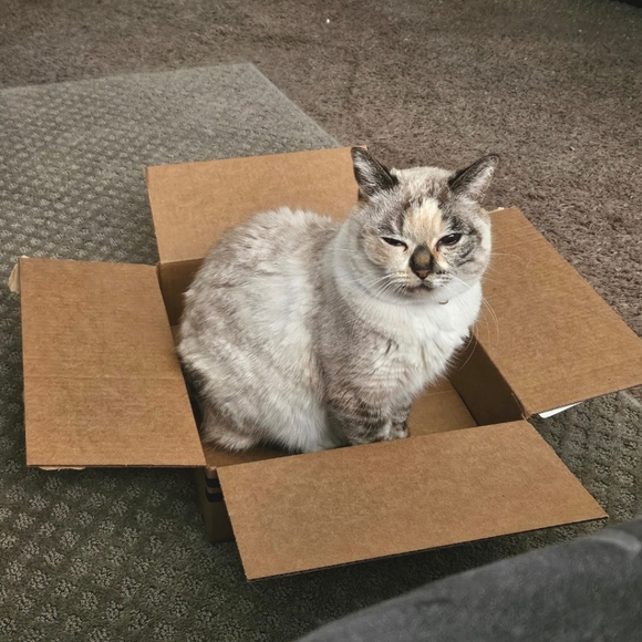 ✨ AIMEEZINGDUH IS LIVE!✨ Please like to be notified when I'm going live ✨✨ - Picture 6 of 9